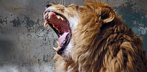 Продюсирование личного бренда в Instagram Продюсирование личного бренда в Instagram